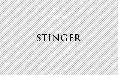 stinger5