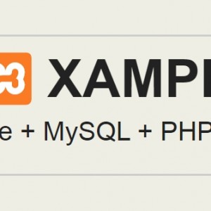 ワードプレスのブログをパソコン上で動かすソフト！XAMPPのインストール方法を詳しく解説