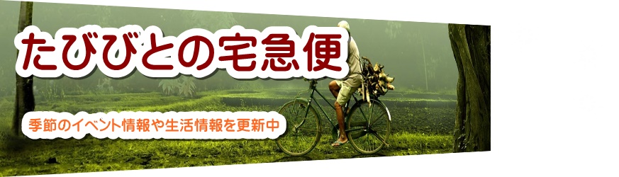 man-bicycle-hizumi